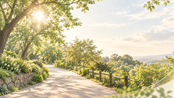 木漏れ日が差す公園の道。朝の散歩を表すAI生成のイメージで、実際の中島公園の写真ではありません。